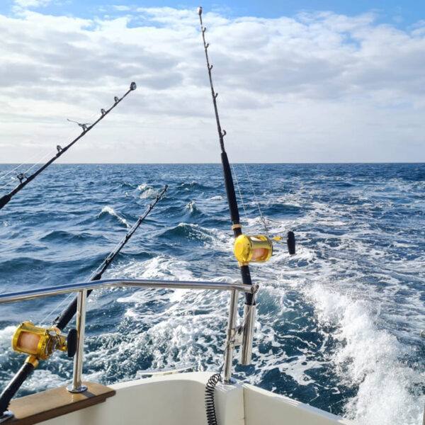 Bluefish Tuna Fishing Day ticket with Sporting Charters worth £1250 - Image 3